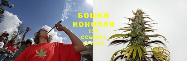 соль ск Пересвет