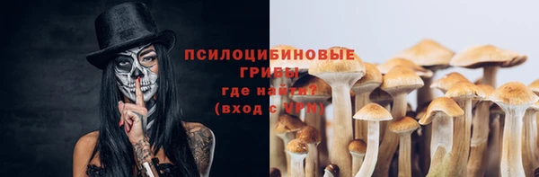 тгк Пестово