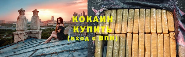 соль ск Пересвет
