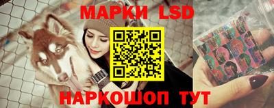 прущие грибы Апшеронск