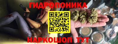 прущие грибы Апшеронск