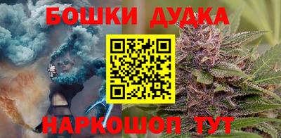 прущие грибы Апшеронск