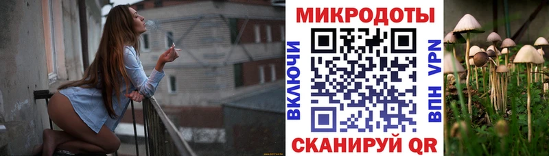 Псилоцибиновые грибы Psilocybine cubensis  kraken   Балашиха 