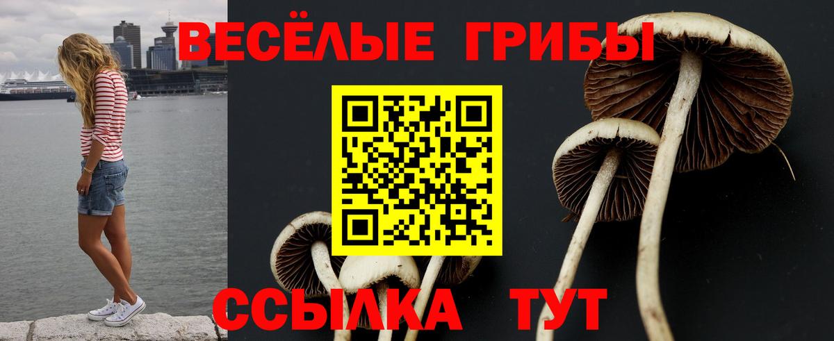 Псилоцибиновые грибы GOLDEN TEACHER  Псилоцибиновые грибы прущие грибы  Вход с VPN  Балашиха 
